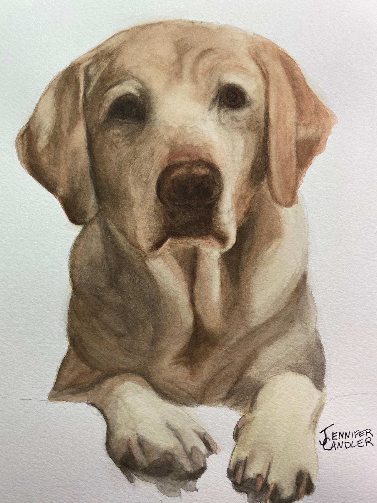 Commission Pet Portraits 8 x 10 watercolor paintings