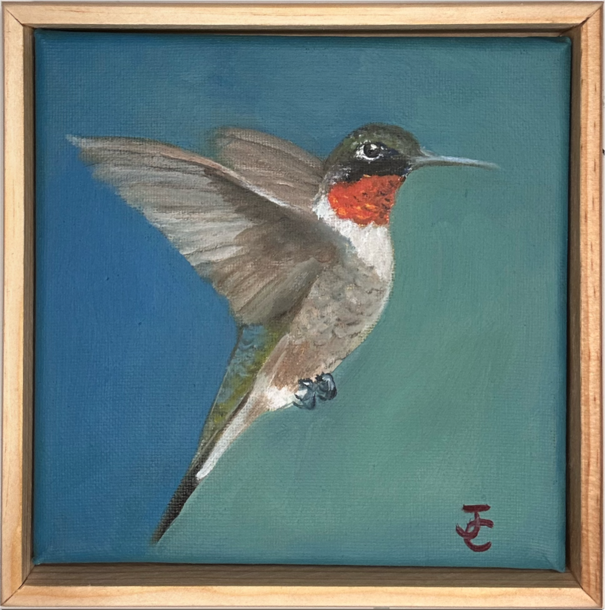 Ruby Throated Hummingbird