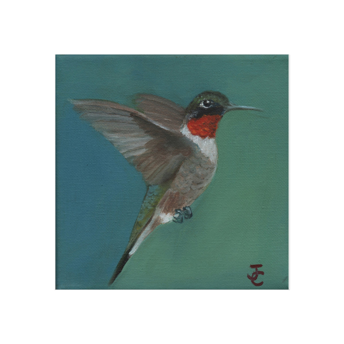 Ruby Throated Hummingbird - Print