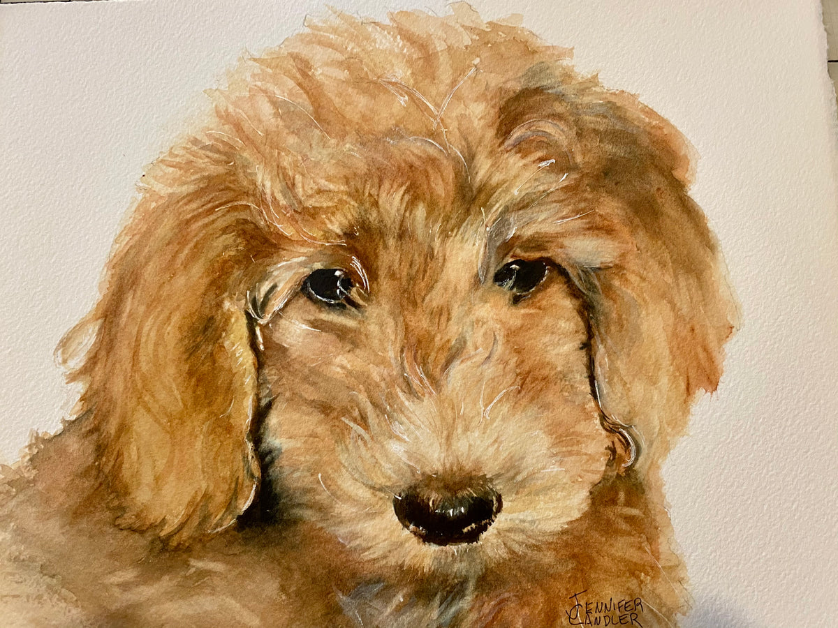 Commission Pet Portraits 8 x 10 watercolor paintings