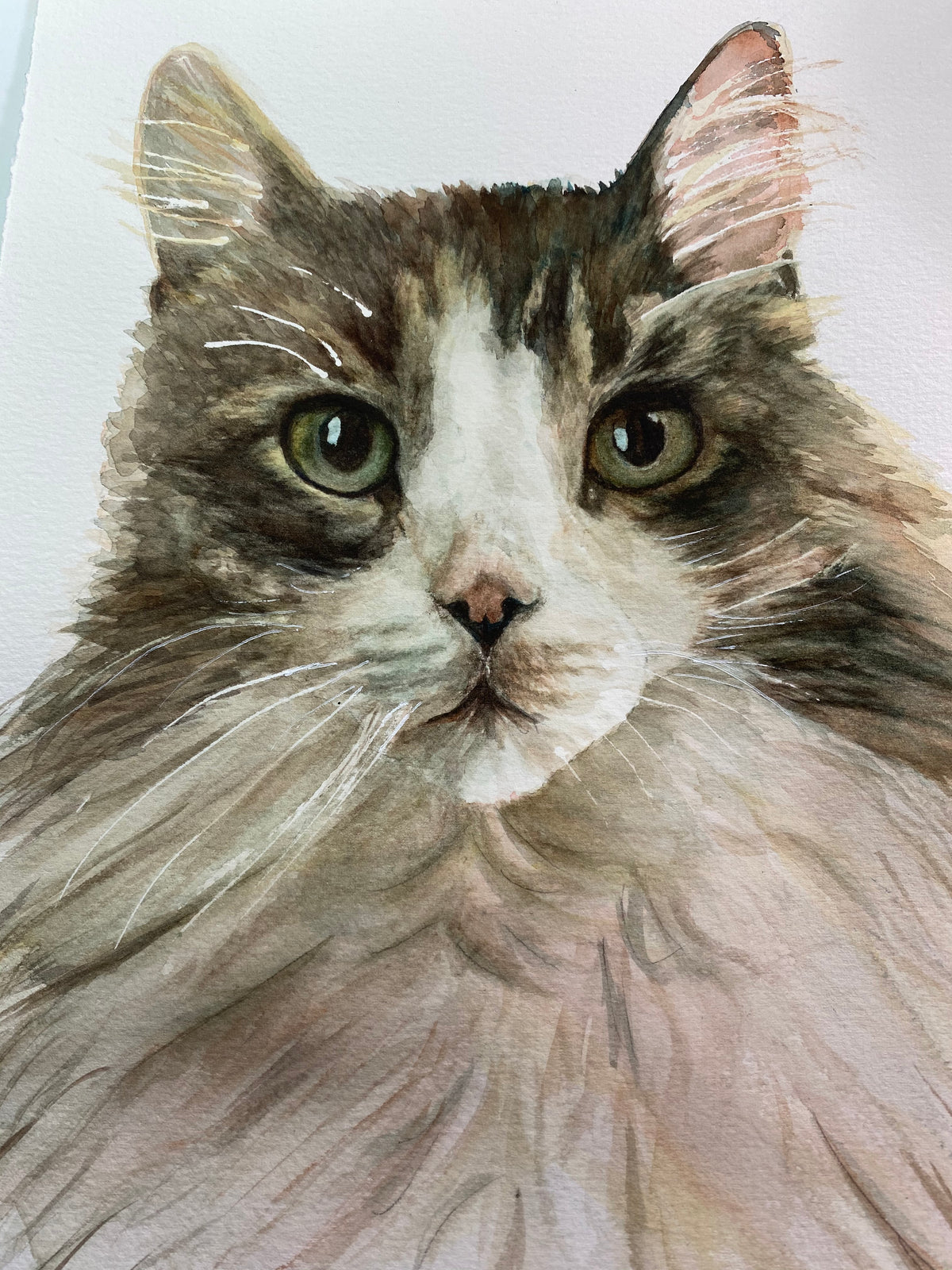 Pet Portraits - Commission