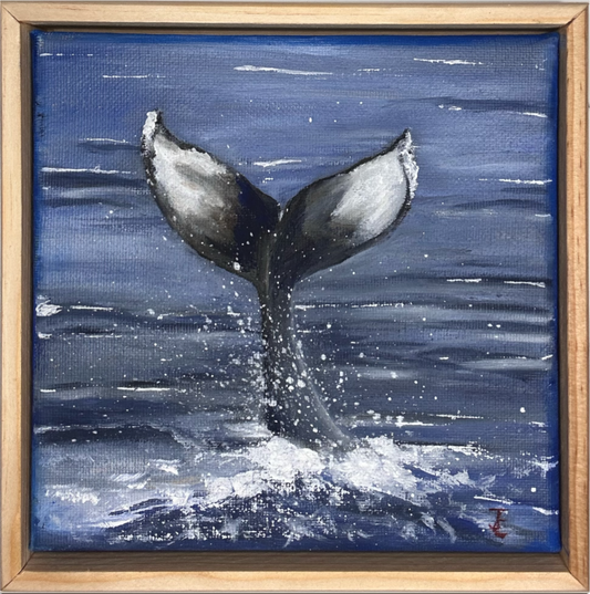 Whale watch