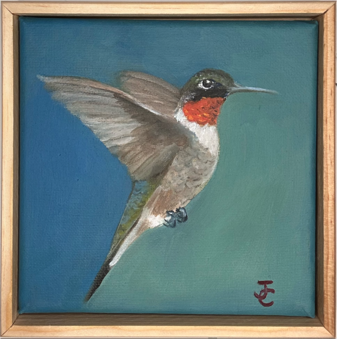 Ruby Throated Hummingbird